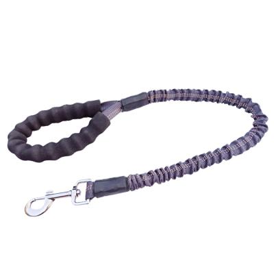 China High Standard Sustainable Custom Design Medium Explosion Proof Punching Pet Leash Traction Rope for sale