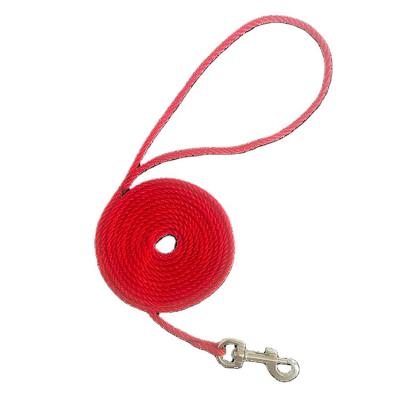 China Small Animals Supply String Leash Small Pet Traction Rope Sensitive Pet Leash Small Pet Training Leash for sale