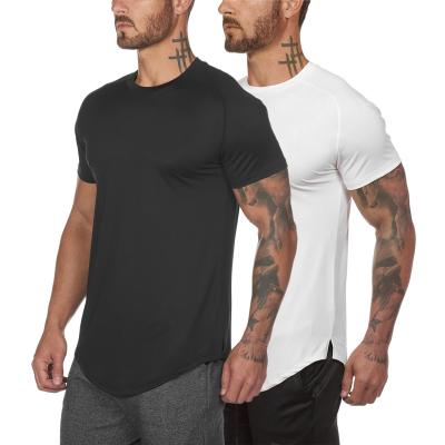 China Custom wholesale QUICK DRY QUICK DRY sports plain cotton gym men's gym t-shirt for sale