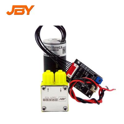 China Other Small Size Low Power Consumption Low Noise Double Headed Small Brushless Vacuum Pump for sale