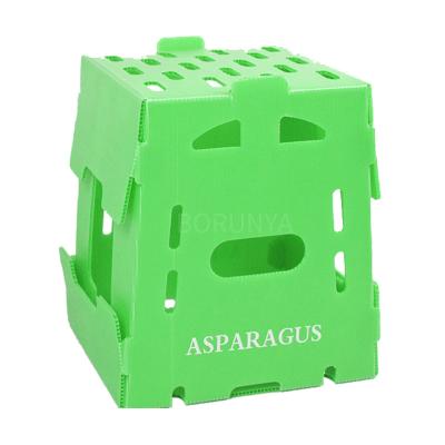 China Hot sale 2023 pp hollow extruded plastic pp fruit package box corrugated fresh asparagus box for sale