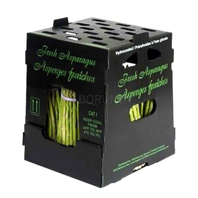 China PP Wholesale Hot Sale Fresh Okra Packing Box Plastic Corrugated Packing Box for sale