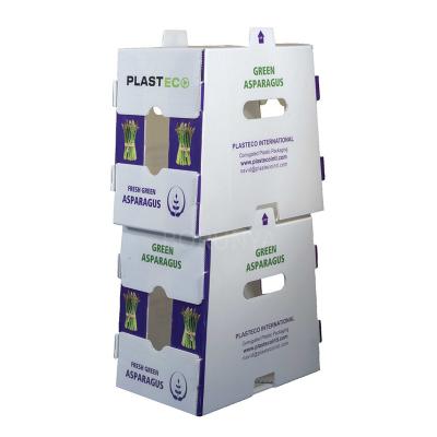 China PP China factory wholesale box okra plastic box fruit and vegetable fresh packaging box for sale