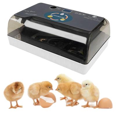 China Available HHD 12 Egg Farms OEM RoHs Automatic Reptile / Quail / Chicken Incubators Hatching Machine for sale