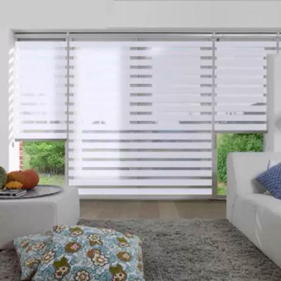 China 2020 Hot Sale Double Layer Window Blind Roller Zebra Blinds Manual Motorized Control for sale