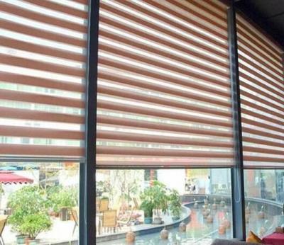 China Hot Sale High quality double layer Blind Roller Zebra Blind Elegant & Simple Custom 280cm for sale