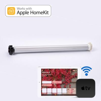 China Low Noise Home Kit wifi IOS system Tubular Motor smart roller blinds motorized blinds smartwindow shades voice control for sale