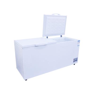 China Hotel Specialized in Manufacturing Top Open Large Capacity Horizontal Freezer Chest Freezer for sale