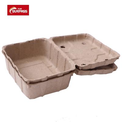 China Biodegradable Pulp Fruit Packaging Boxes Eco Biodegradable Compostable Green Fruit Trays Biodegradable Fruit Tray Disposable Food Paper for sale