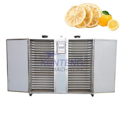 China Medicine Processing High Efficiency Low Consumption Meat Dehydrator Fish Fruit Dryer Machine Small Drying Rack for sale