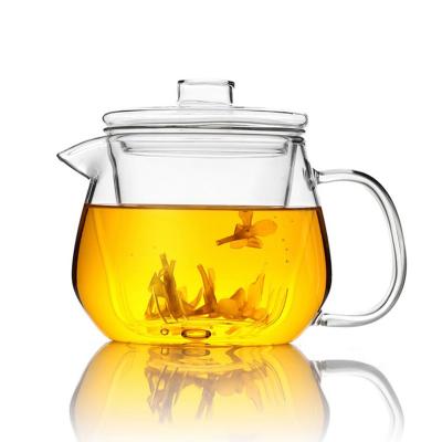 China Hot Selling Viable Glass Teapot 500ml Flower Pot Glass Teapot With Infuser for sale