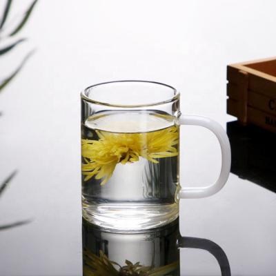 China Sustainable Durable Glass Mugs Tea Water Cup Single Wall Borosilicate Coffee Mugs With Handle for sale