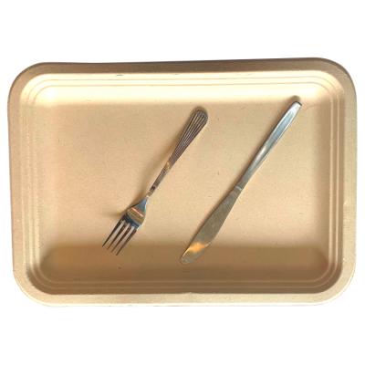 China Hot Food Tray Sugarcane Disposable Bagasse Minimalist Eco-Friendly Biodegradable Sugar Cane Tray for sale