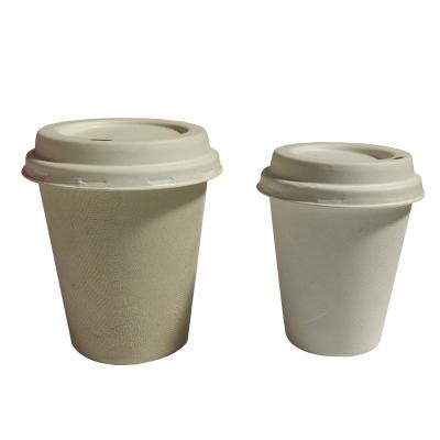 China Party Picnic BBQ Disposable Biodegradable Coffee Cups Biodegradable Candy Cane Disposable Cups With Lid for sale