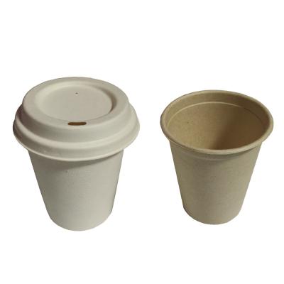 China Party Picnic BBQ Disposable Biodegradable Coffee Cups Biodegradable Candy Cane Disposable Cups With Lid for sale