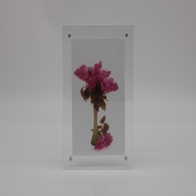 China factory price plastic cheap acrylic photo frame magnetic magnetic a4 photo frame for sale