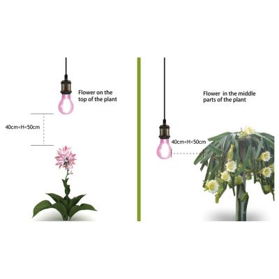 China FLOWER Led Light Growing Plant For Pitaya for sale