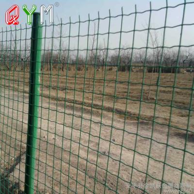 China Wire Weave Mesh Holland Fence Euro Fence With Easily Assembled Posts for sale