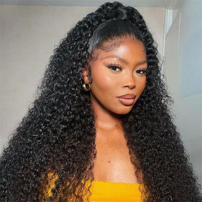 China No Shedding No Tangle Factory 13x6 Lace Front Wig, 180 Curly Curly 200 Virgin Human Hair Water Wave Wigs, 30 Inch HD 360 Curly Lace Band Wig for sale