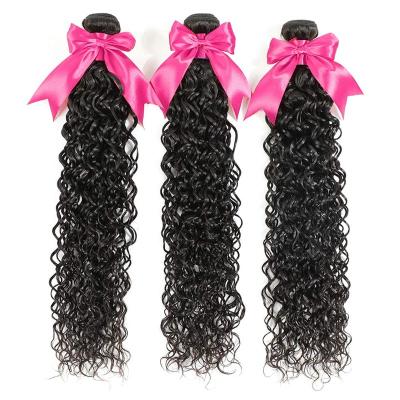 China 2021 Hot Selling Raw Indian Hair Free Samples 100%Virgin Cuticle Aligned Curly Natural Virgin Hair Water Weave Bundles For American for sale