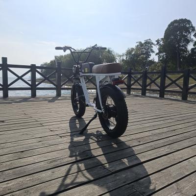 China Disc Brakes 1000W Electric Bicycle Available Hydraulic Electric Bicycle Customized by Steel (Old) with Long Distance for sale