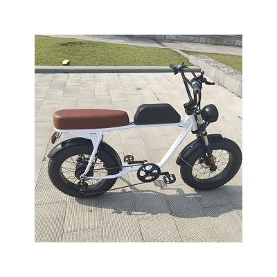 China Lightweight Enduro Snow/Desert/Mountain/City Fat Tire 2000w Two Wheel Off Road Beach Cruiser Electric Bicycle for sale