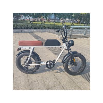 China Wholesale Snow/Desert/Mountain/City Best Long Range Charging Battery Max Speed ​​Power Electric Bike Bicycle for sale