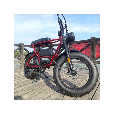 China Best Importer Mountain/Snow/City Fat Tire 1000w Powerful Electric Adult Bicycle Long Range Ebike for sale