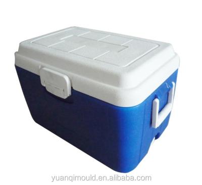 China OEM Shanghai Custom Aluminum Roto Mold Cooler Box For Keeping Freezen Food for sale