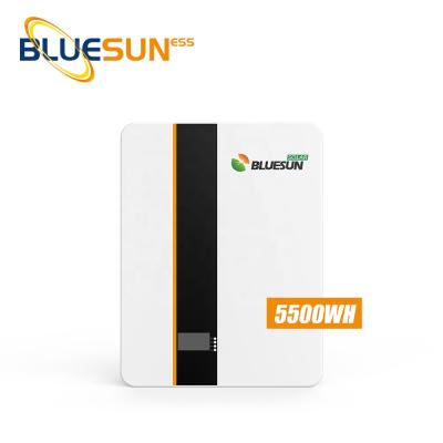 China Good Quality Home Appliances Bluesun Lithium Battery Charger 48v Lithium Ion Battery Lifepo 4 48v Lithium Battery Pack For Sale for sale