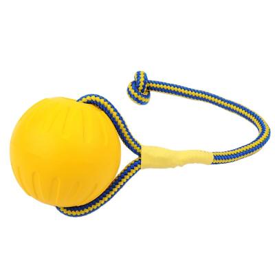 China TPR Dog Toy Training Bite Resistant Elastic Ball Rubber Ball for sale