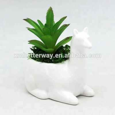 China Alpaca French Succulent White Animal Pot Plants Country Planter Home Decoration Ceramic Vase for sale