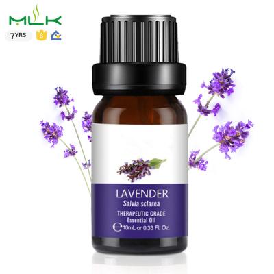 China Free Sample Sellings Essential Oils Aromatherapy 10ml Moisturizer Nature Essential Oil Spa Massage Diffuser Hot Pure Lavender Fragrance for sale