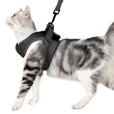 China Amazon Padded with Same Style Factory Wholesale Customizable Nylon Cat Walking Dog Leashes for sale