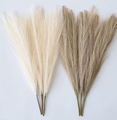 China Other 45cm Simulation Pampas Grass Reed Grass Wedding Decoration Home Bedroom Props Wedding Guide Photo PropBackground for sale