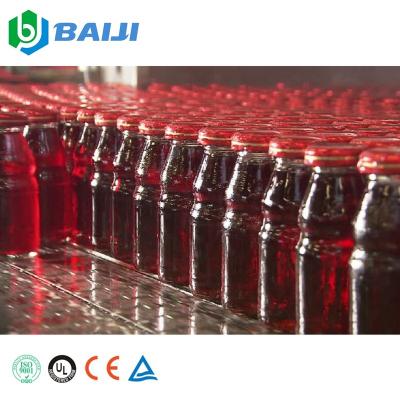 China Automatic 500ml Glass Bottle Beverage Fruit Juice Juice Hot Filling Processing Plant Bottling Packing Machine for sale