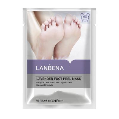 China New Skin Product Lavender Foot Exfoliator Dead Skin Removal Removing Dead Skin Care Facial Sheet for sale