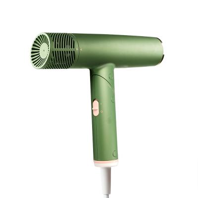 China 2000W Foldable Blow Dryer Portable Fantasy Hair Dryer Pet Diffuser Pet Diffuser Cheap Professional Salon Hair Dryer Bladeless High Quality for sale