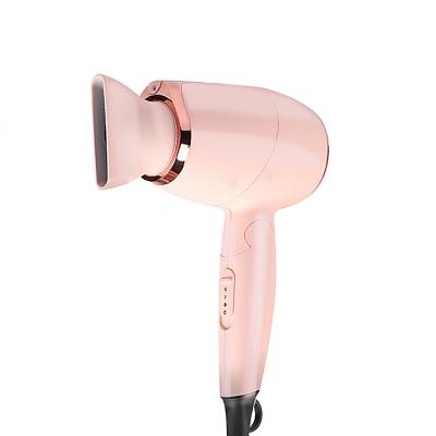 China Popular Salon One Volume Hair Styler 1300w Hot Air Foldable Electric Blow One Stage Black OEM Hair Dryer for sale