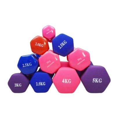 China Plated Dumbbell China Manufacturer Family Fitness Equipment Dip Plastic Dumbbell For Yoga Practice for sale