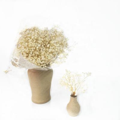 China Wedding Flower Arrangements DIY Natural Bouquet Gypsophila Preserved Artificial Home Flower Arrangement Garland Decorative Baby's Breath For Wedding Decoration for sale