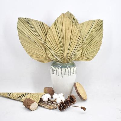 China Dropshipping Boho Accessories Decor Nordic Aesthetic Nordic Home Decor Artificial Dried Palm Leaves Flower Arrangements Wedding Wall Backdrop Props for sale