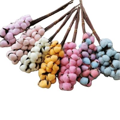 China Fashional Gift Natural Dry Simple Flower Cotton Home Decoration Props Ornaments DIY Materials Wedding Party Layout Decoration Props for sale