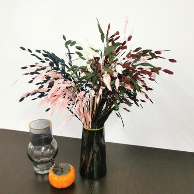 China Natural Dried Flower Arrangement Decoration DIY Flower Bouquet Accessories Preserved Dried Chasmanthium Household Wedding Decoration Window Table Centerpieces for sale