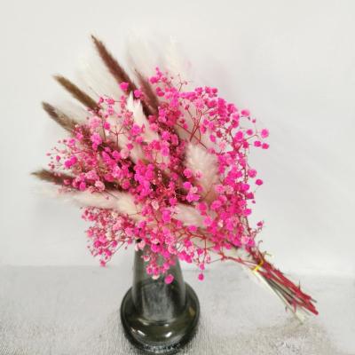 China Natural Dry Reed Props Wedding Bouquet Home Decoration Pampas Grass Plant Artificial Reed Bouquet Gypsophila Dekoration Designs DIY for sale