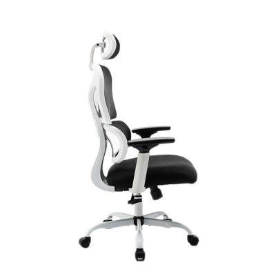 China (Height)Adjustable Rotation Chairs Ergonomic Office Chair Mesh Rolling Design Staff Price CEO Office Chair for sale