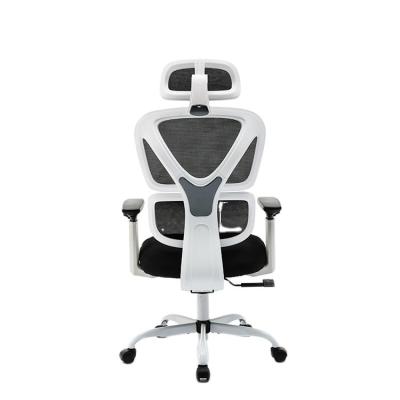 China (Size)Adjustable High Quality Computer Mesh Administrative Ergonomic Chair Luxury Modern Office Desk Chair for sale