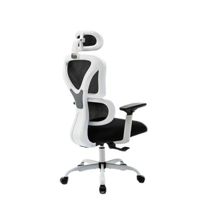 China Adjustable (height) Classic Models Swivel Computer Mesh Office Chair Back Rest People Use Comfortable Office Chair for sale