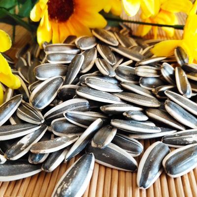 China Inner Mongolia Dried Human Type Dry Sunflower Seeds Material Raw Origin Grade Big Seeds for sale