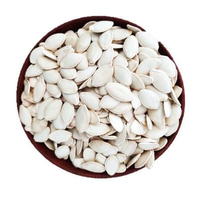 China Shine Skin Pumpkin Kernels Dry Edible White Seeds High Quality Cheap Price Wholesale China Factory Supply Big Size for sale